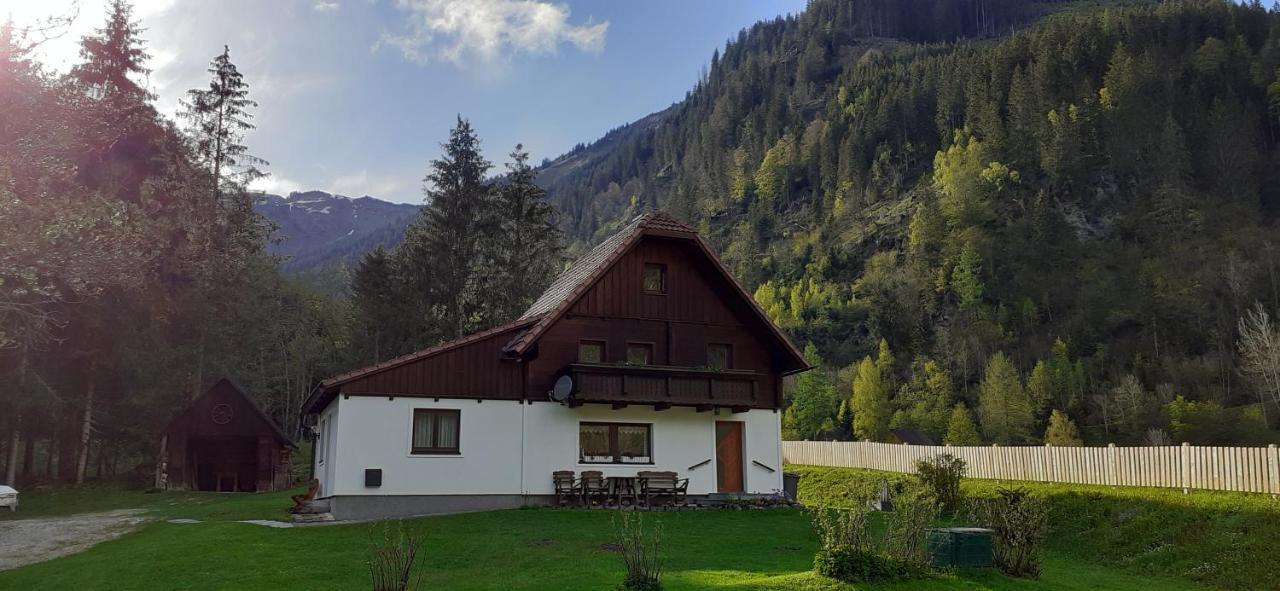 Haus Cilli Villa Donnersbachwald Ngoại thất bức ảnh